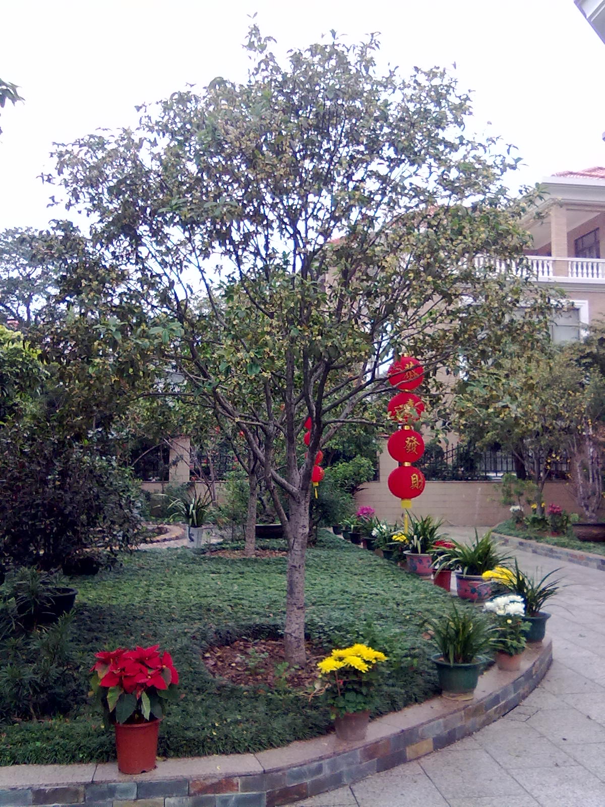 201201243393.jpg
