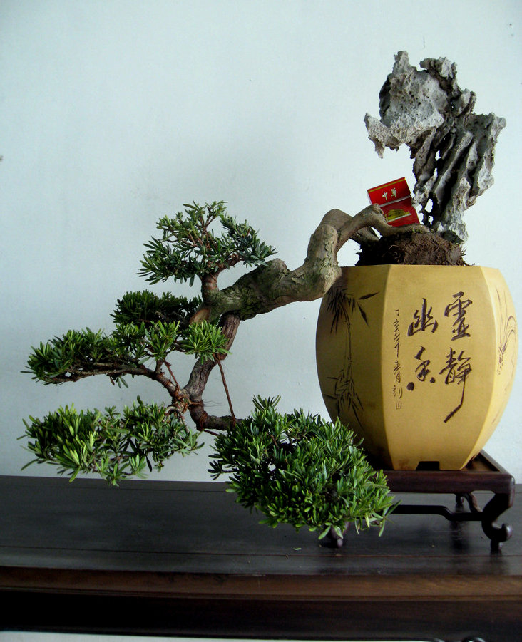 Ƭ 038.jpg