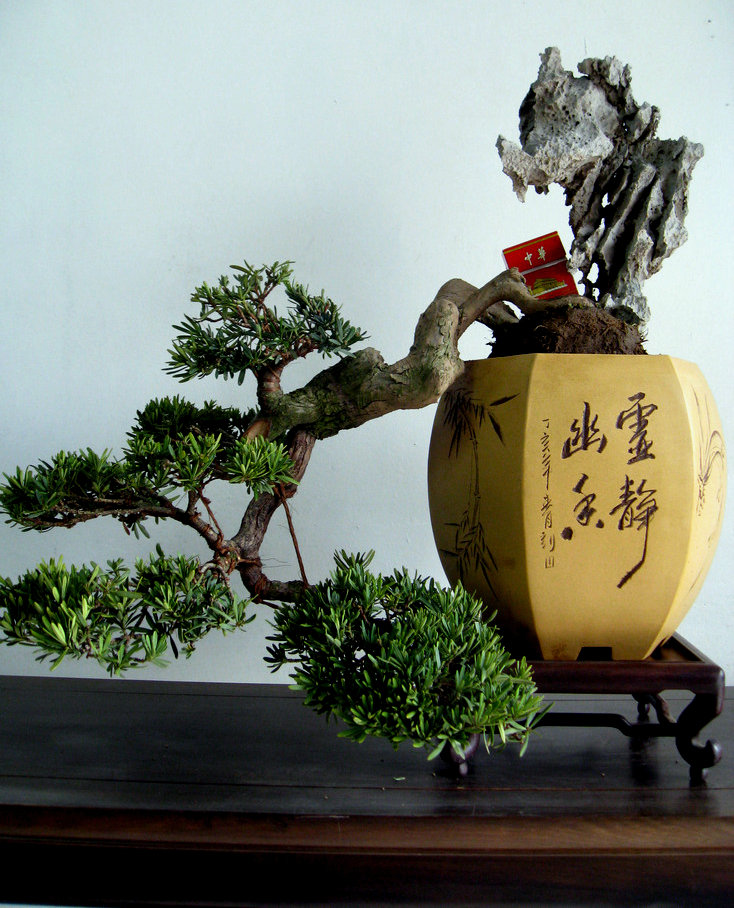 Ƭ 040.jpg