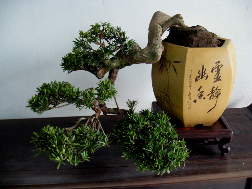 Ƭ 041.jpg