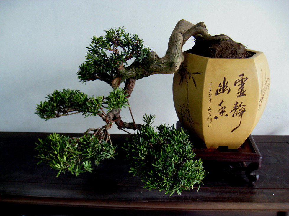 Ƭ 043.jpg
