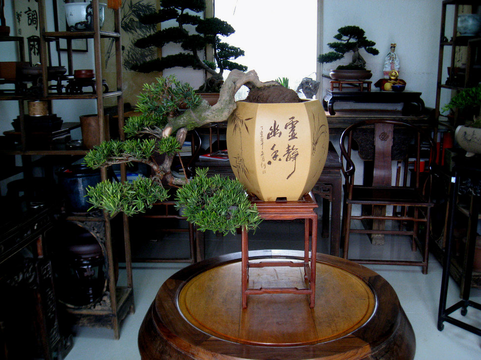 Ƭ 044.jpg