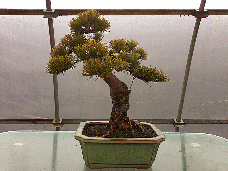 20120201603_.jpg