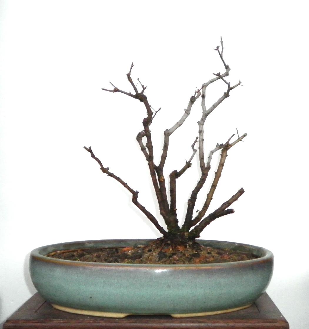 ʯ8----11.JPG