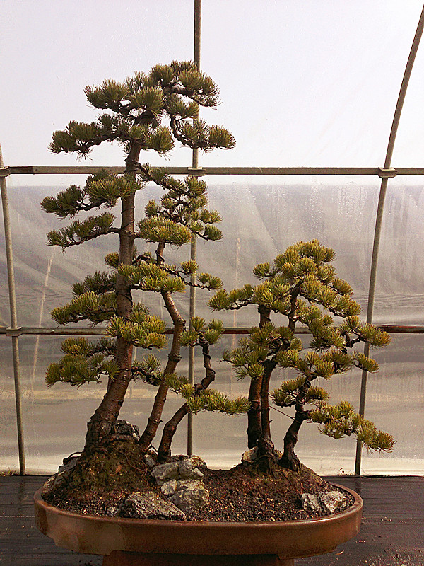20120203662_.jpg