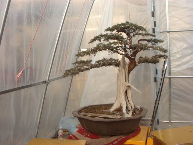 С DSC08986.JPG