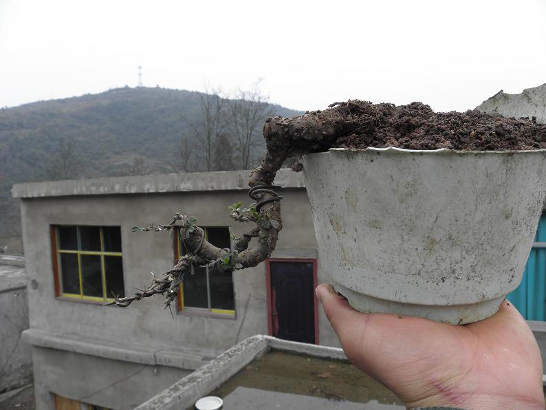 P2081800.JPG