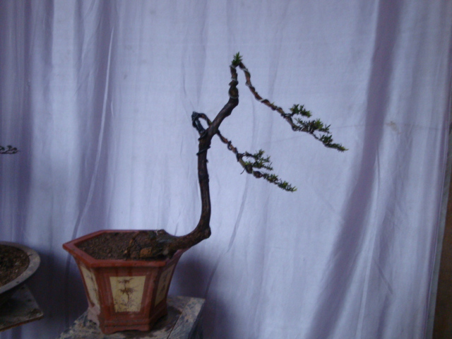 DSC05995.JPG