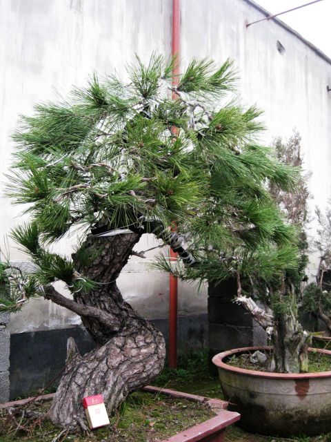 04.jpg