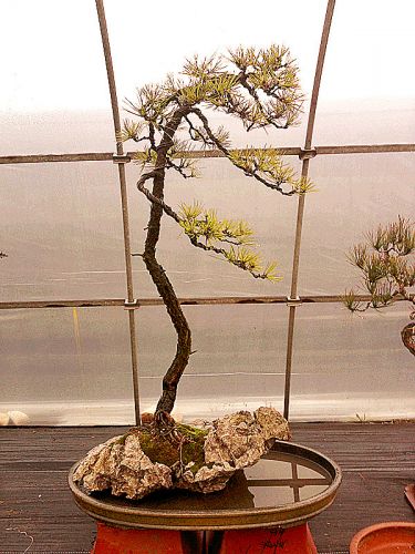 201201~1 (2).JPG
