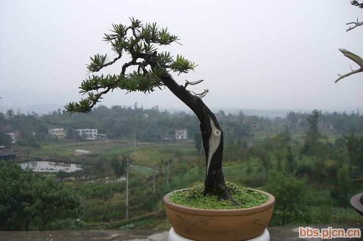 20071220_5b1793d16435e63c76378sYNwxn2qC6m.jpg