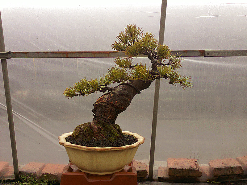 20120211786_.jpg