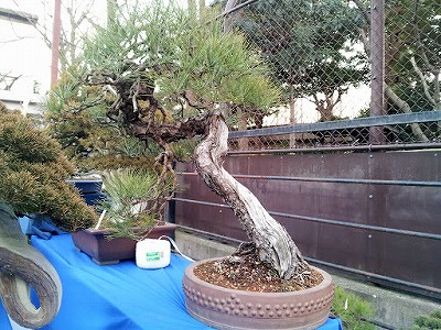20120204_165756.jpg