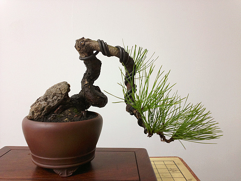 20120212790_.jpg