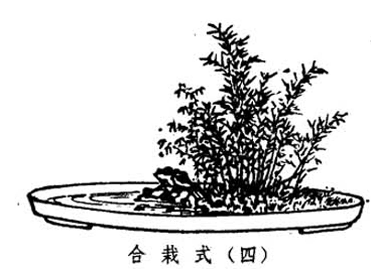 ݾ顶Ȥζ1957-35-36  3.jpg