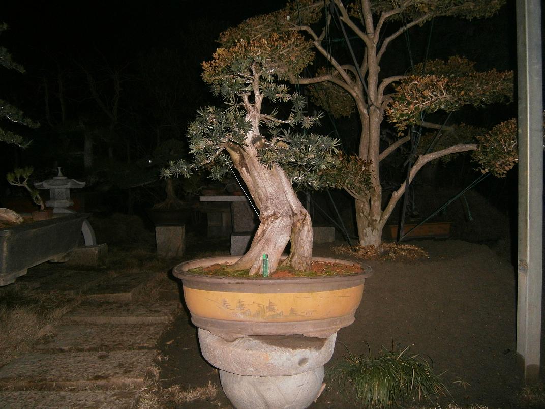 ޽ȸ