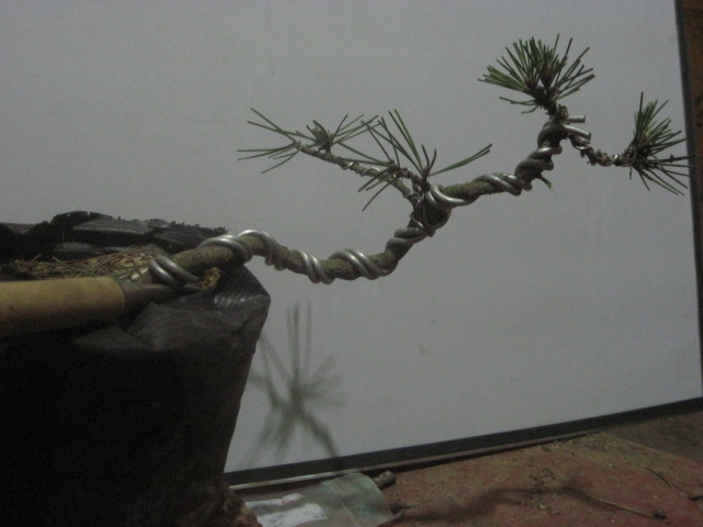2011-02-13ļ 009.jpg
