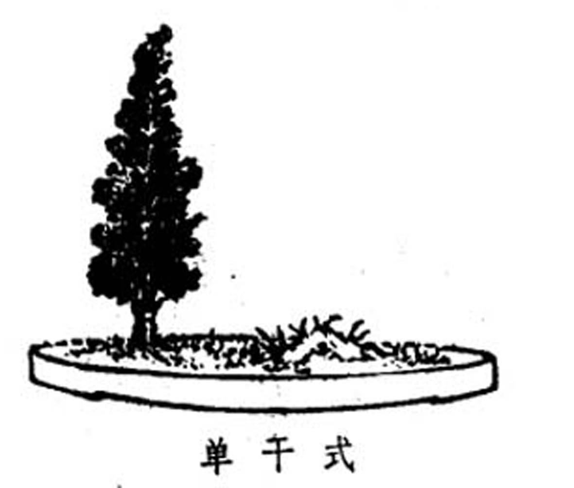 ݾ顶Ȥζͼ1.jpg