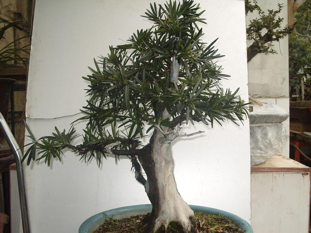 S1050508.JPG