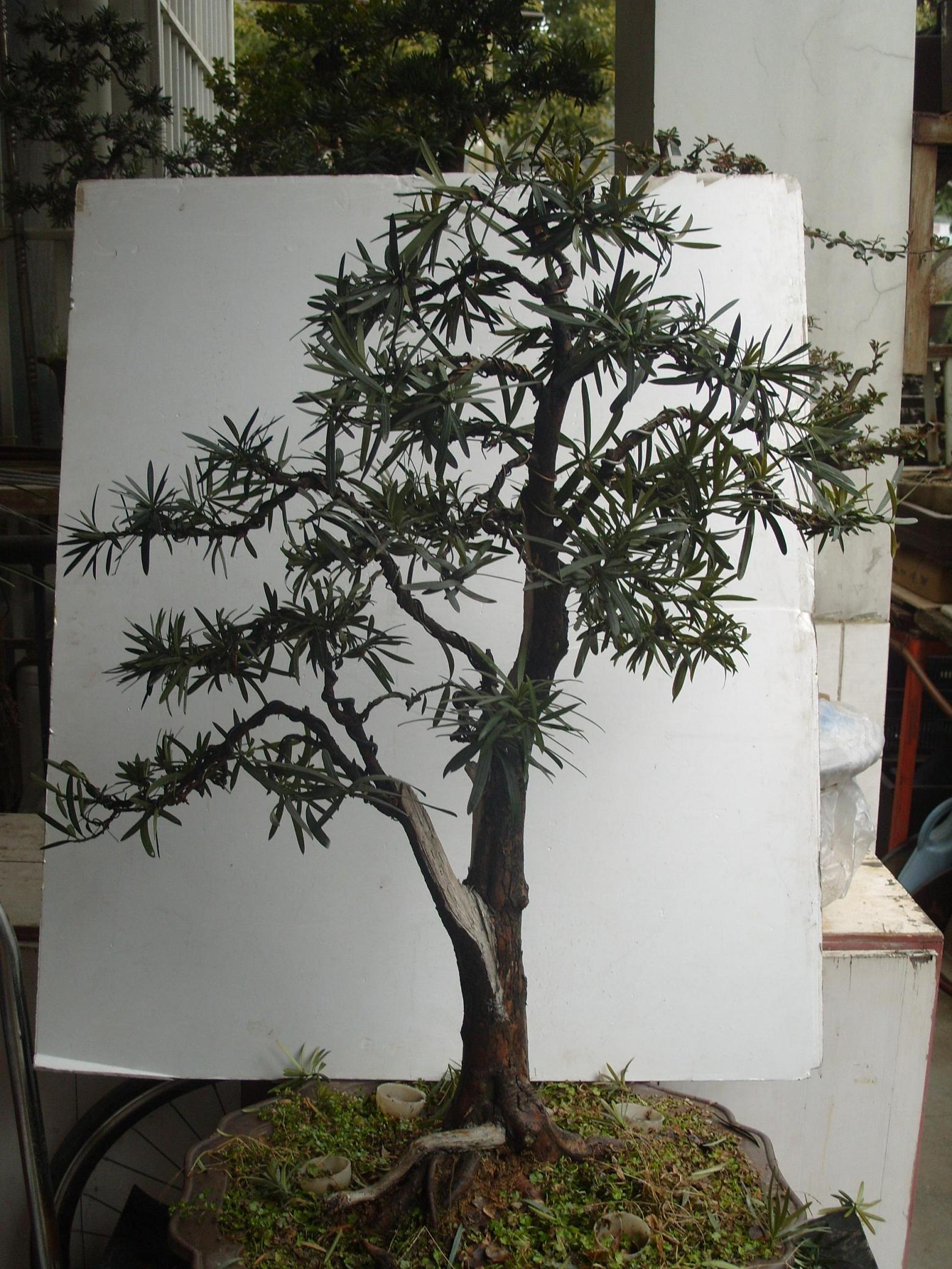 S1050519.JPG