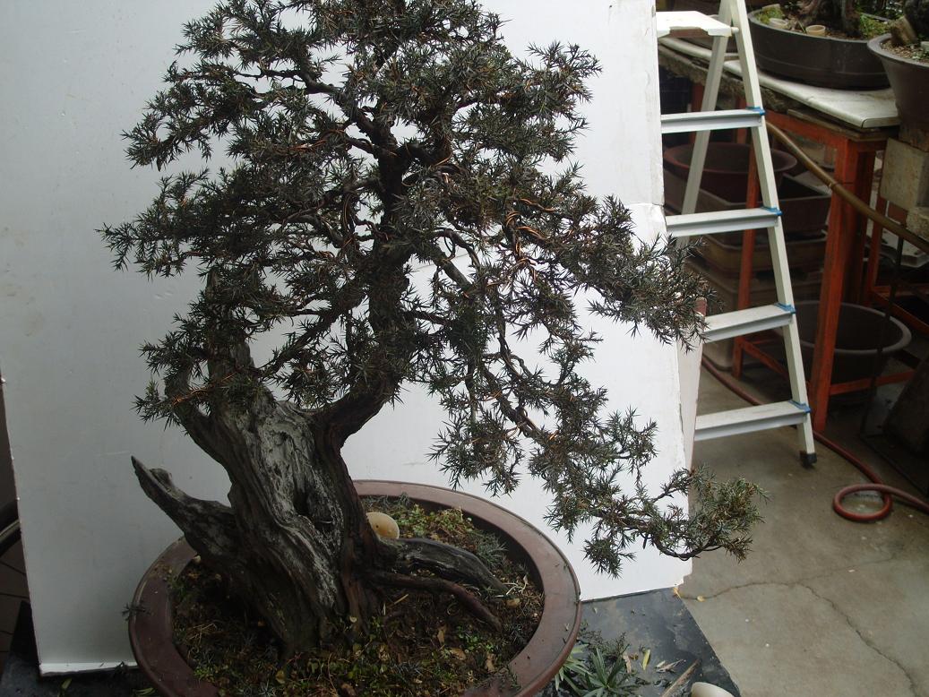 S1050526.JPG