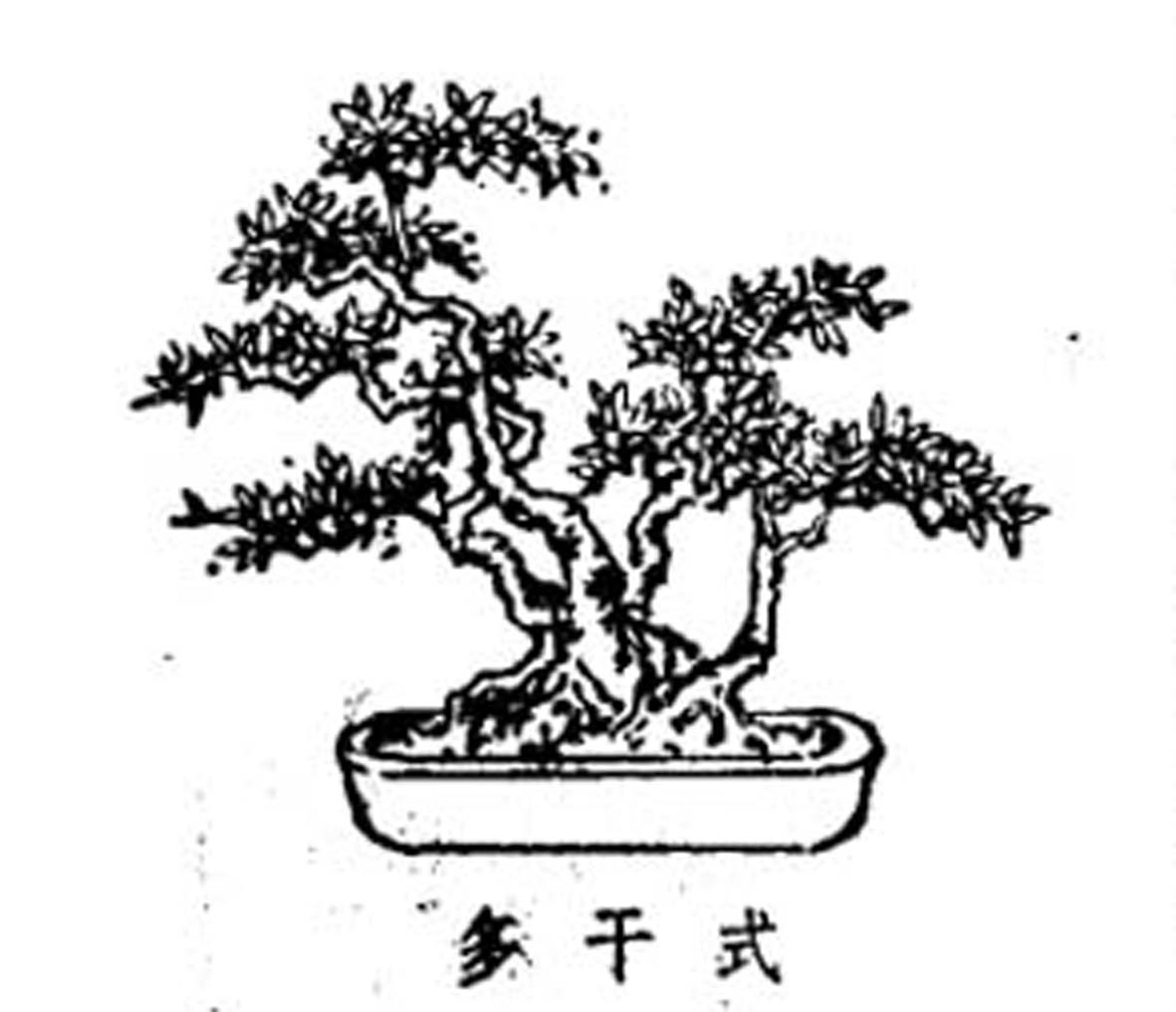 ݾ顶Ȥζͼ2.jpg