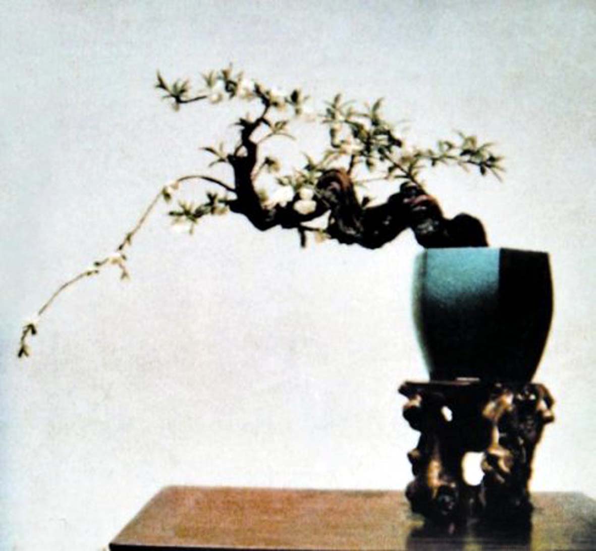ݾ顶ױҡ.jpg
