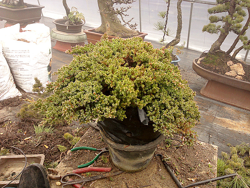 20120215823_.jpg