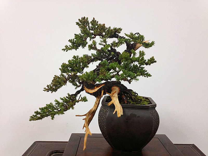 20120215829_.jpg