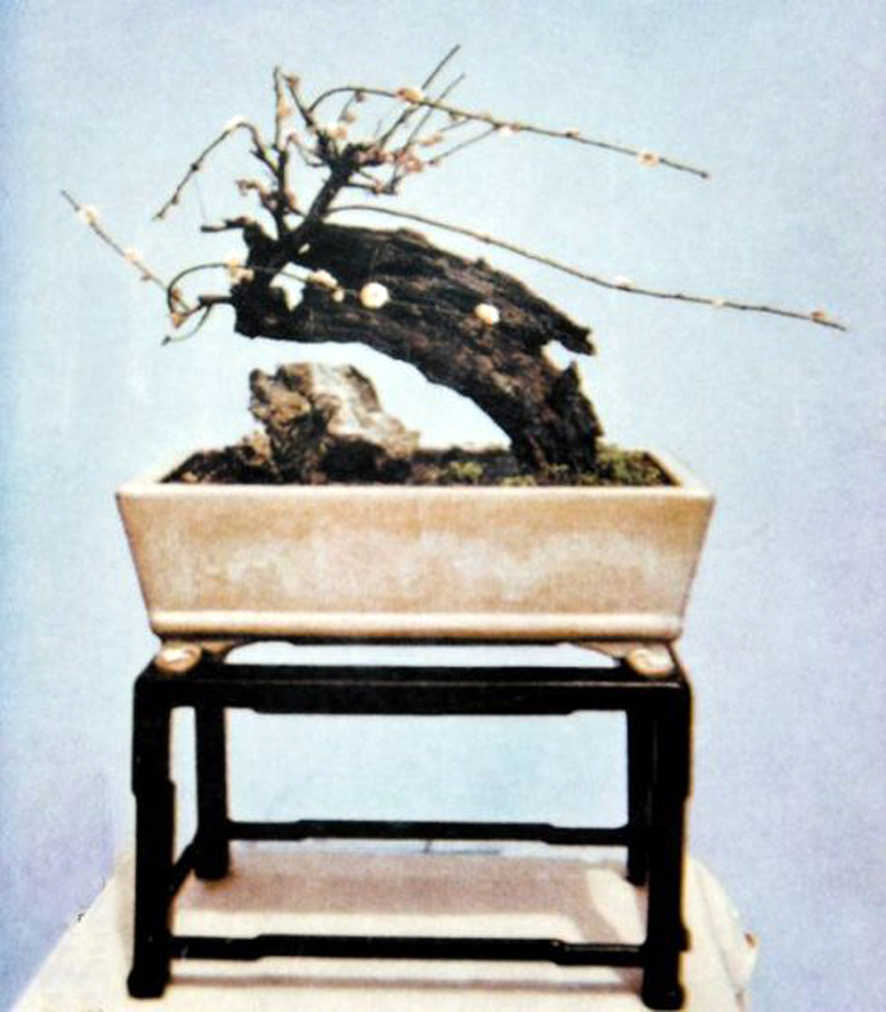 ݾ顶÷衷.jpg