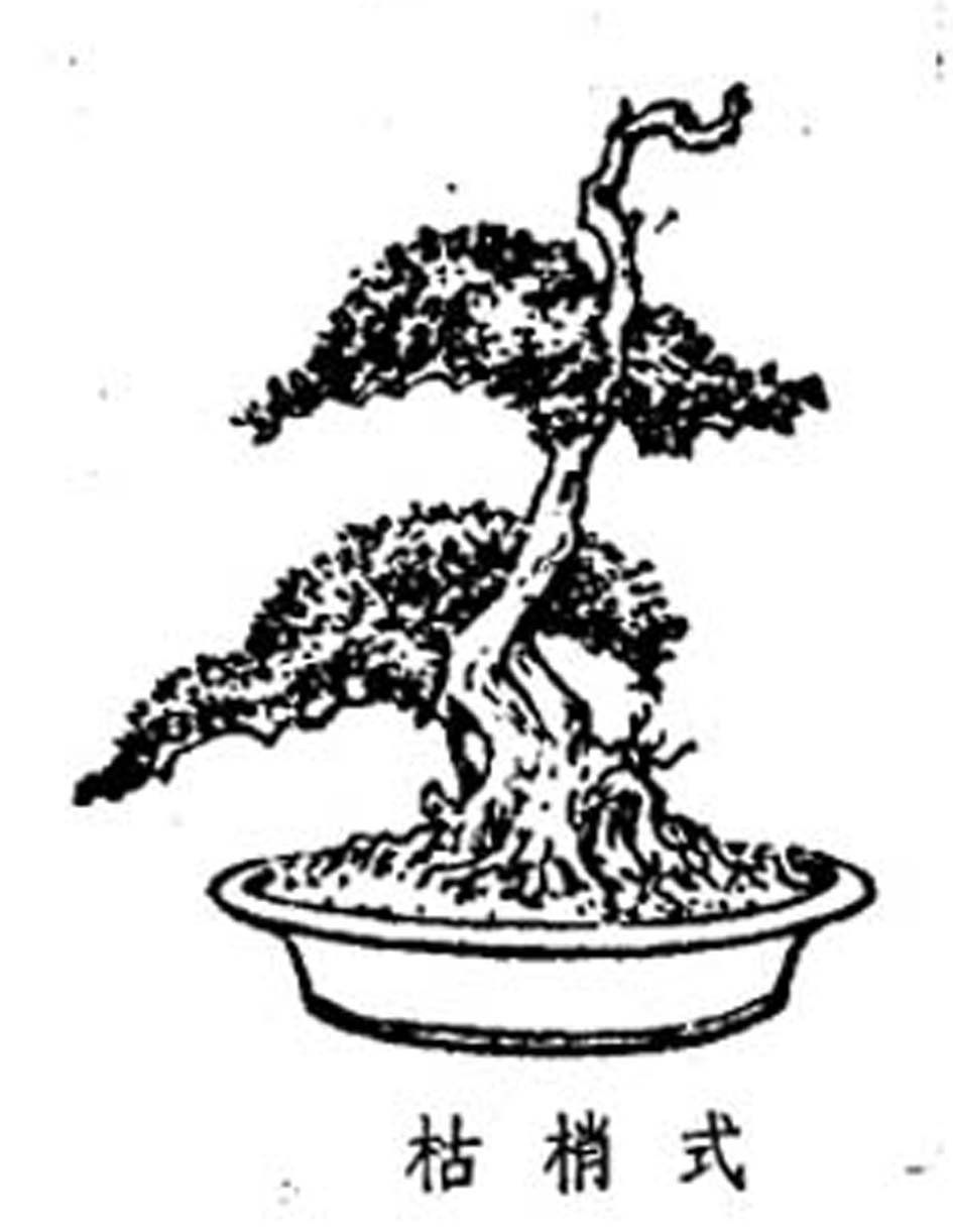 ݾ顶Ȥζͼ4.jpg