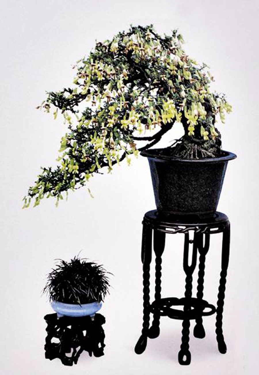 ݾ顶ȸ䣺5038cm.jpg