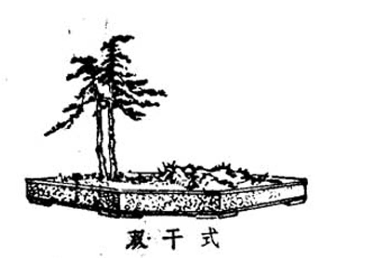 ݾ顶Ȥζͼ3.jpg