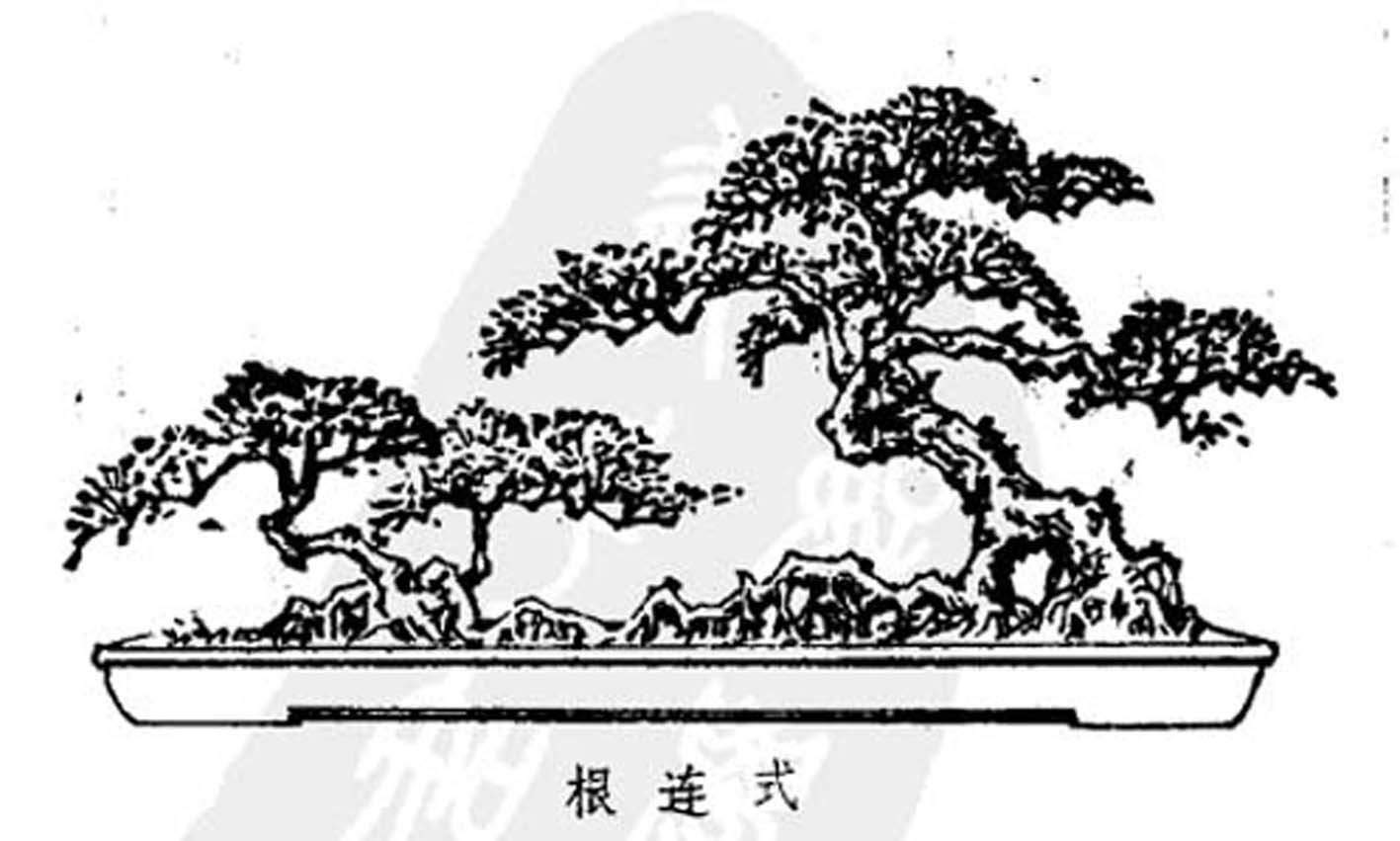 ݾ顶Ȥζͼ5.jpg
