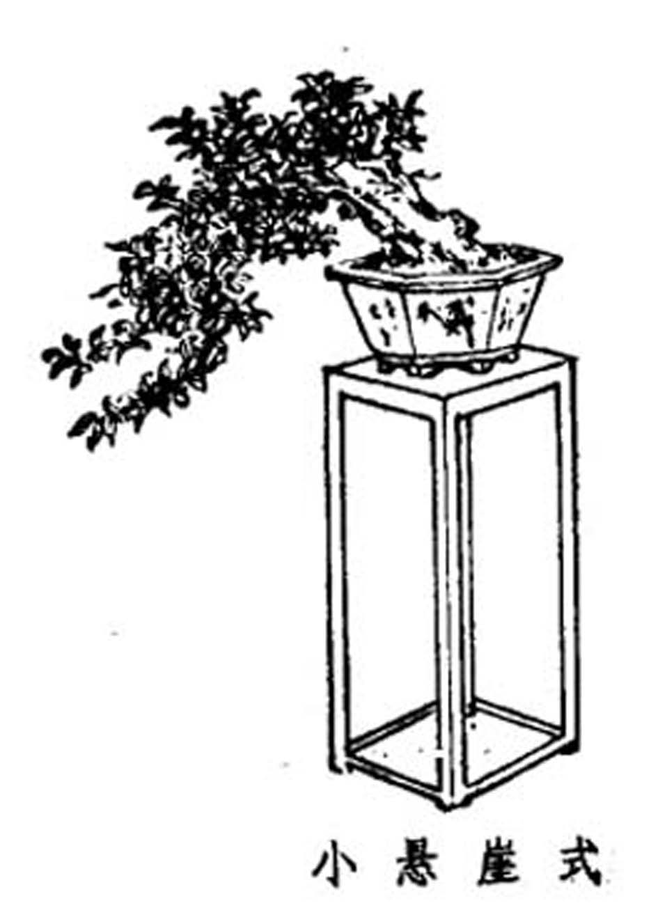 ݾ顶Ȥζͼ7.jpg