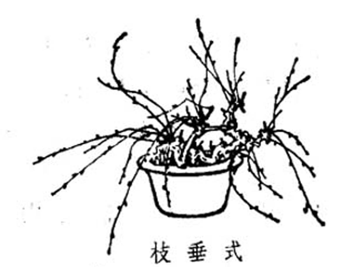ݾ顶Ȥζͼ8.jpg