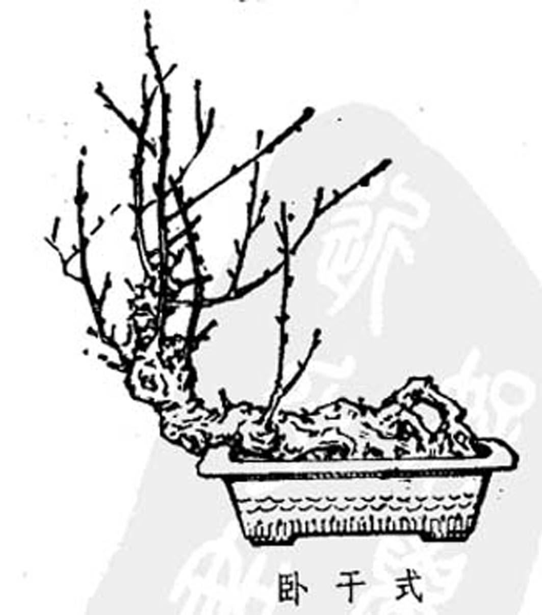 ݾ顶Ȥζͼ9.jpg