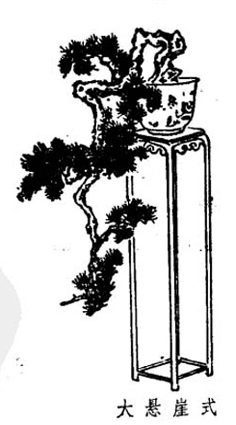 ݾ顶Ȥζͼ10.jpg