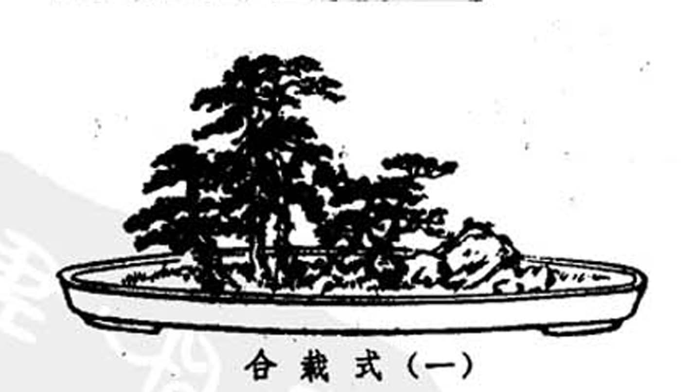 ݾ顶Ȥζͼ11.jpg