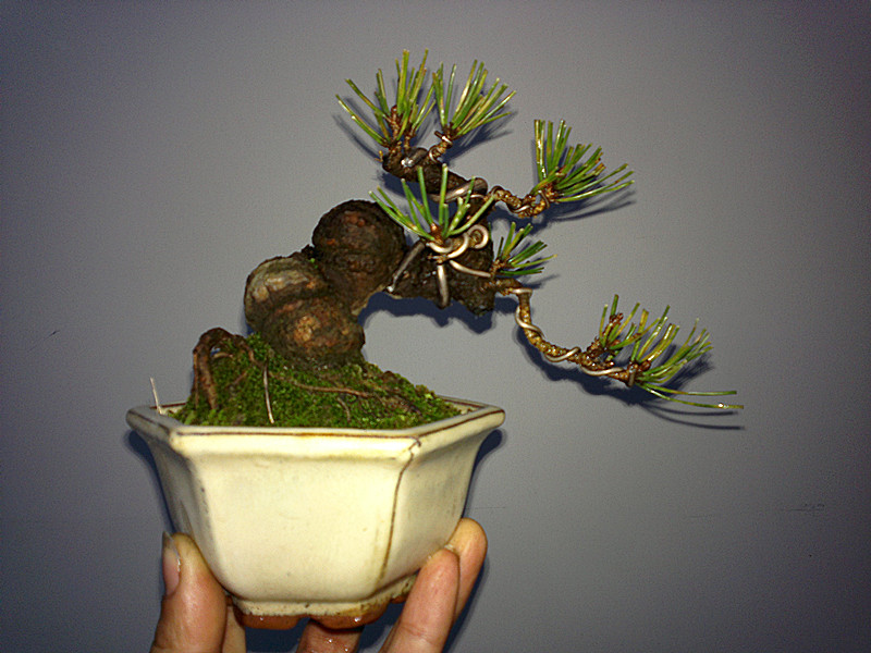 20120219839_.jpg
