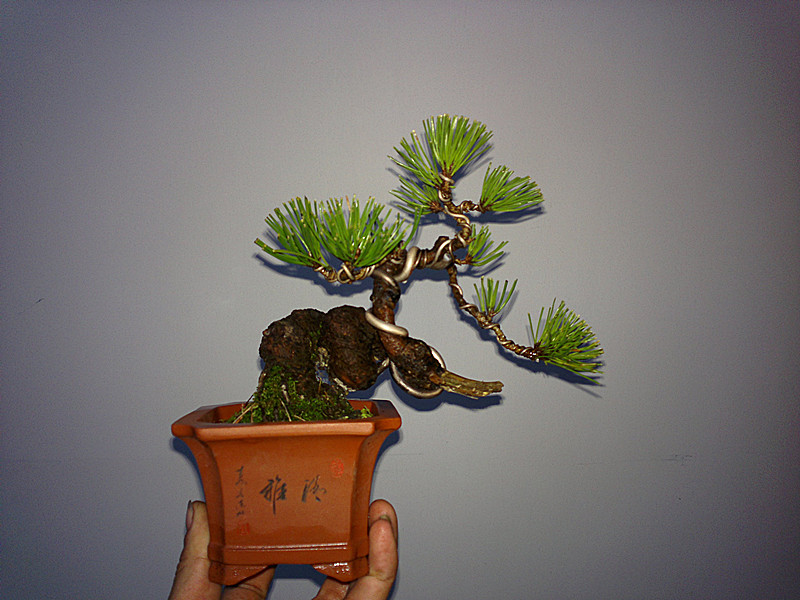 20120219840_.jpg