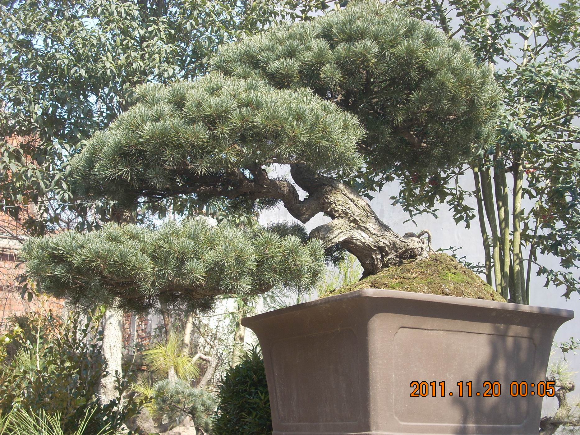 С DSCN1734.JPG