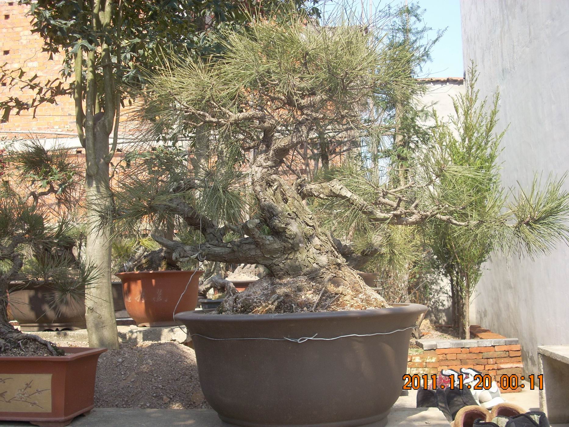 С DSCN1745.JPG