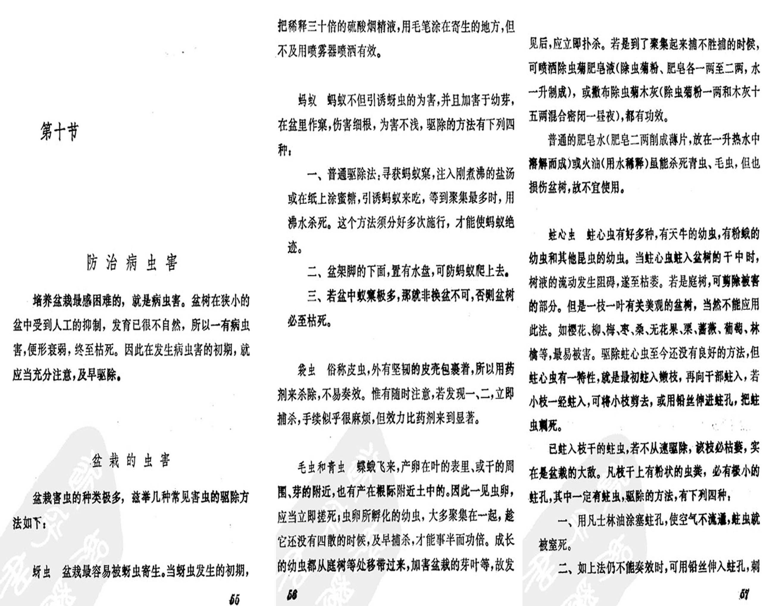 16ݾȤζʮ.jpg