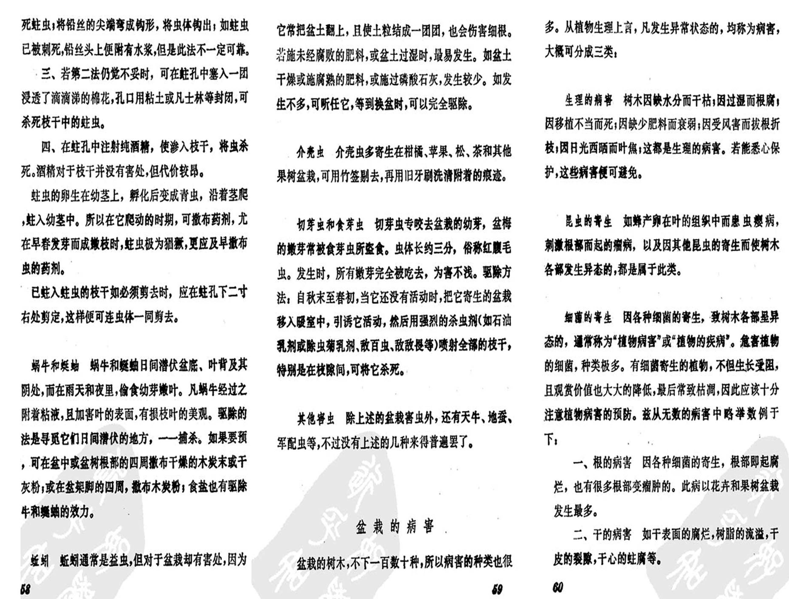 17ݾȤζʮ2.jpg