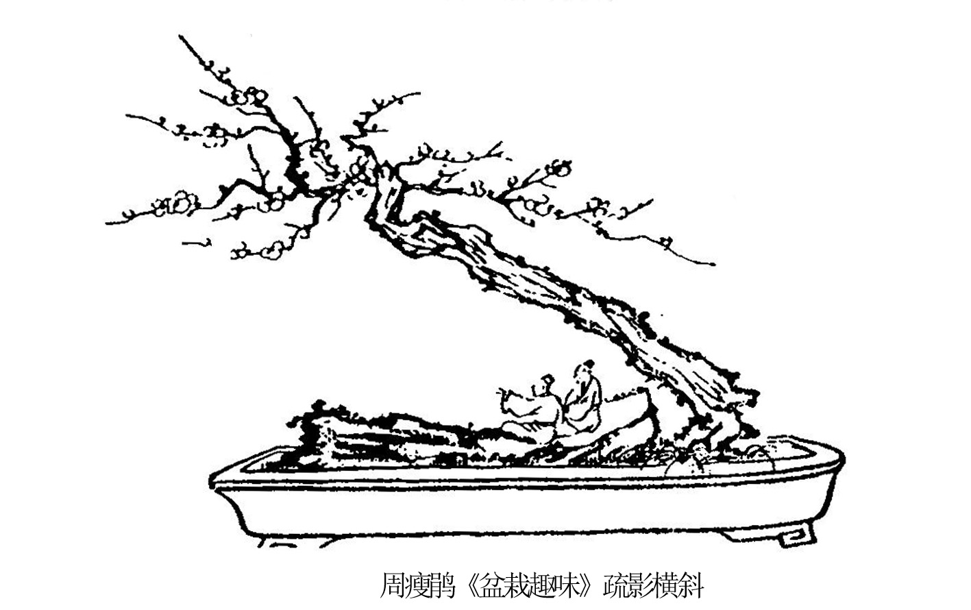 ݾ顶ȤζӰб.jpg