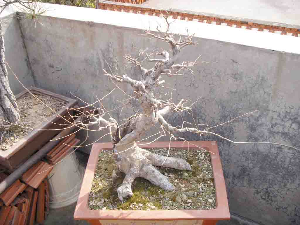 SDC12540.JPG
