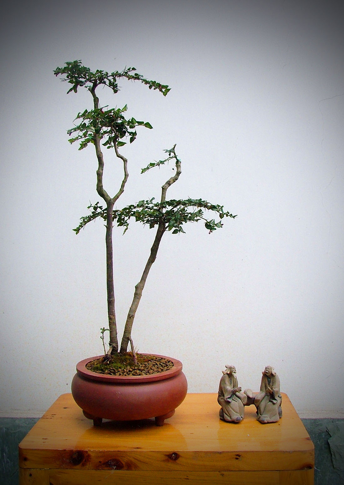 DSCF4585a.jpg