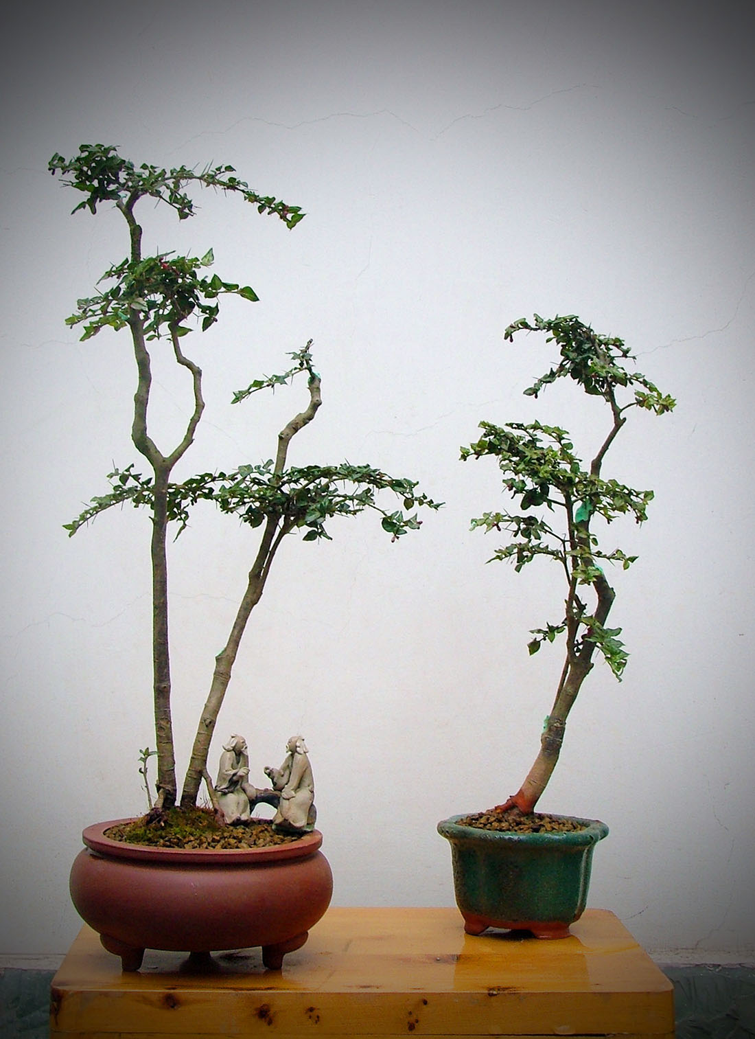 DSCF4578a.jpg