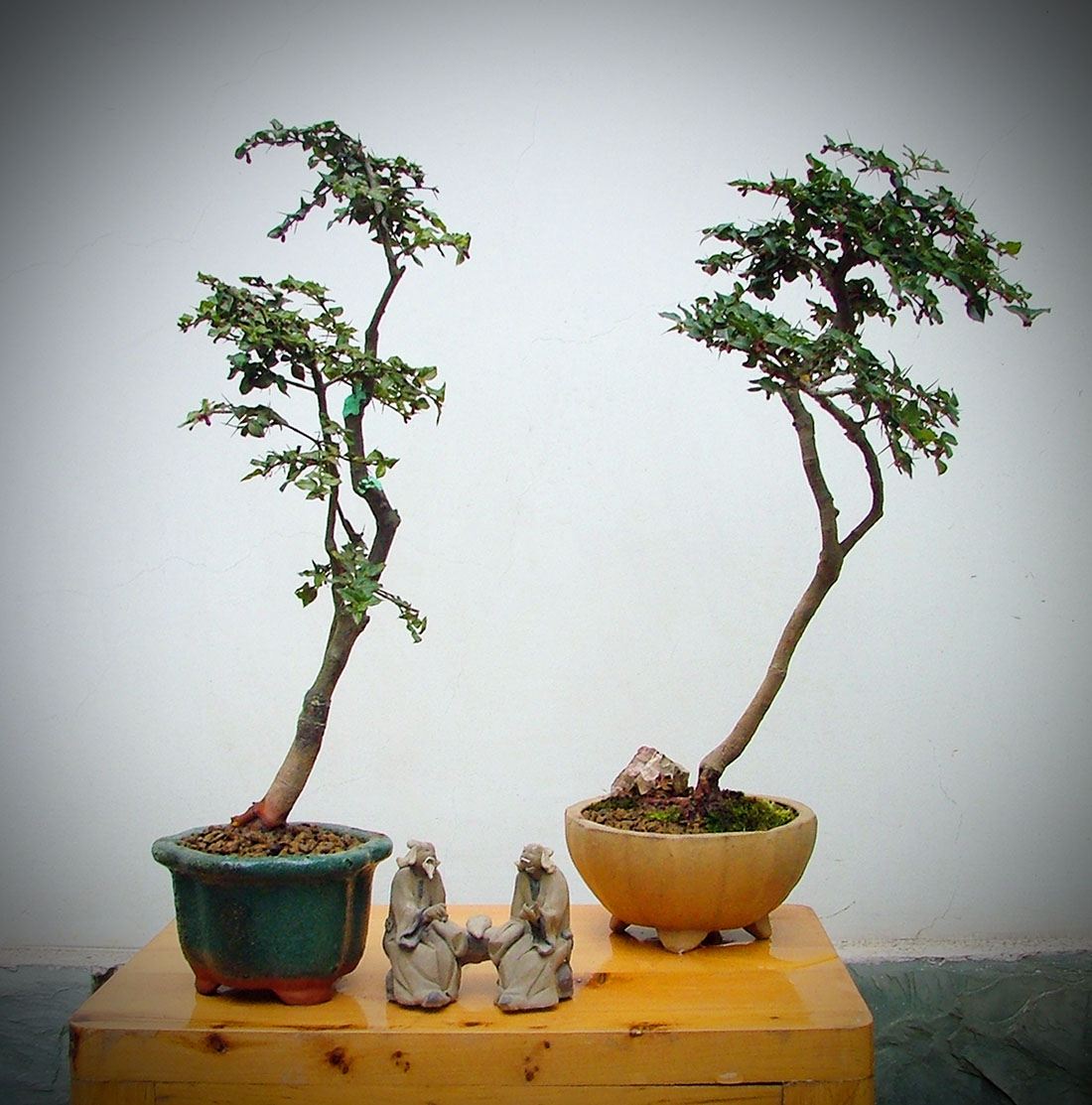 DSCF4584a.JPG